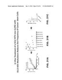 DLL3 MODULATORS AND METHODS OF USE diagram and image