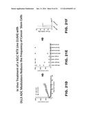 DLL3 MODULATORS AND METHODS OF USE diagram and image