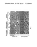 CYCLIC COMPOUND, METHOD FOR PRODUCING CYCLIC COMPOUND, AND METHOD FOR     MODIFYING BIOLOGICAL MOLECULE diagram and image