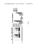 COMPOUND SUITABLE FOR THE TREATMENT OF SYNUCLEOPATHIES diagram and image