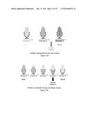 Instructions for Conditioning Nutritional Substances diagram and image