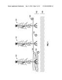 SYSTEMS AND METHODS FOR DETECTING SOIL CHARACTERISTICS diagram and image