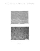 METHOD OF CLADDING AND FUSION WELDING OF SUPERALLOYS diagram and image