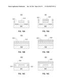 NANOCHANNEL PROCESS AND STRUCTURE FOR BIO-DETECTION diagram and image