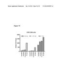 Antibodies diagram and image