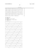 Antibodies diagram and image