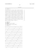 Antibodies diagram and image