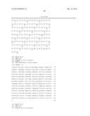 Antibodies diagram and image