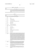 Antibodies diagram and image