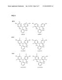 FLUORINE-18 LABELED HYDROGEN ION PROBES diagram and image