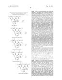 FLUORINE-18 LABELED HYDROGEN ION PROBES diagram and image