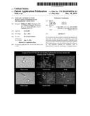 dsRNA/DNA Hybrid Genome Replication Intermediate Of Metakaryotic Stem     Cells diagram and image