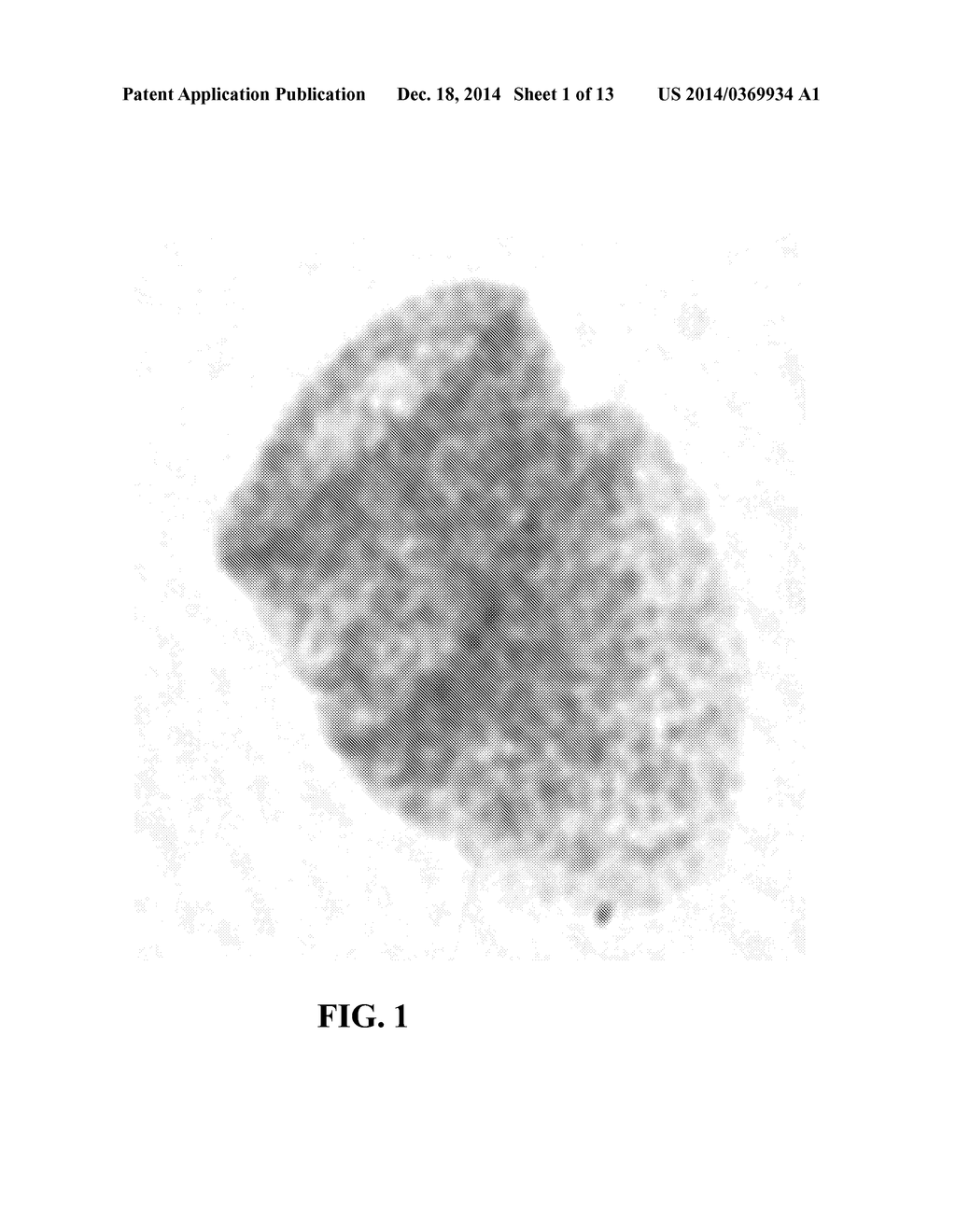 dsRNA/DNA Hybrid Genome Replication Intermediate Of Metakaryotic Stem     Cells - diagram, schematic, and image 02