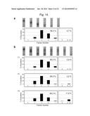 LIPOSOME COMPOSITE BODY diagram and image