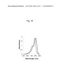 LIPOSOME COMPOSITE BODY diagram and image