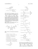 LIPOSOME COMPOSITE BODY diagram and image