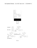 ACTIVATABLE NANOPROBES FOR INTRACELLULAR DRUG DELIVERY diagram and image