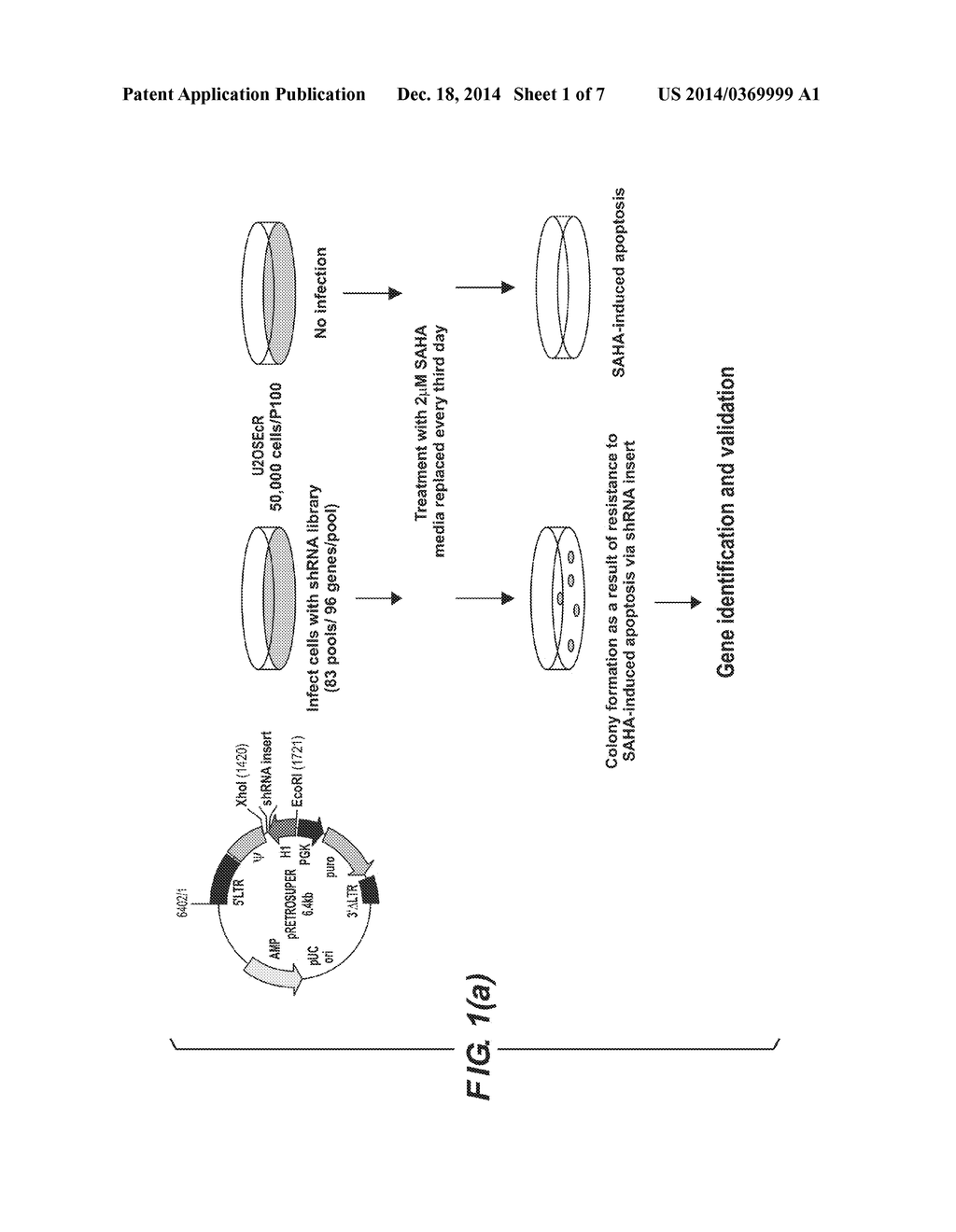 SCREENING METHOD - diagram, schematic, and image 02