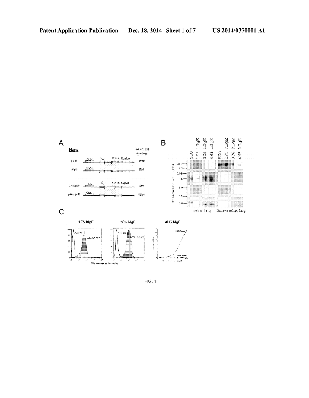 IgE ANTIBODIES FOR THE INHIBITION OF TUMOR METASTASIS - diagram, schematic, and image 02