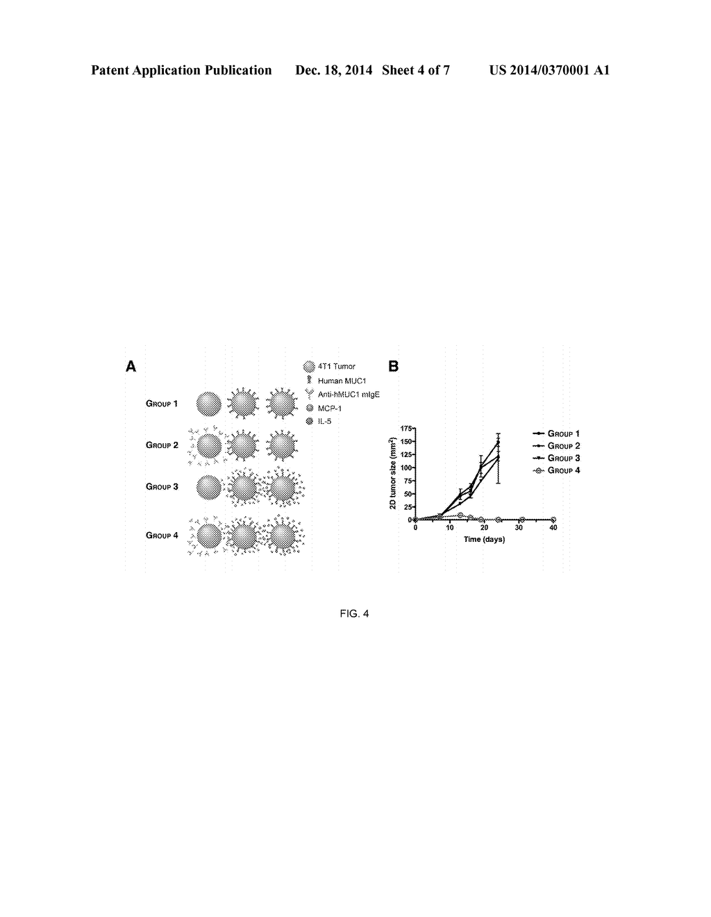 IgE ANTIBODIES FOR THE INHIBITION OF TUMOR METASTASIS - diagram, schematic, and image 05