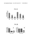 METHODS FOR THE TREATMENT OF GOUT diagram and image