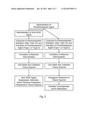 COMPOUNDS AND COMPOSITIONS FOR USE IN PHOTOTHERAPY AND IN TREATMENT OF     OCULAR NEOVASCULAR DISEASE AND CANCERS diagram and image