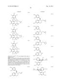 COMPOUNDS AND COMPOSITIONS FOR USE IN PHOTOTHERAPY AND IN TREATMENT OF     OCULAR NEOVASCULAR DISEASE AND CANCERS diagram and image