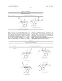 COMPOUNDS AND COMPOSITIONS FOR USE IN PHOTOTHERAPY AND IN TREATMENT OF     OCULAR NEOVASCULAR DISEASE AND CANCERS diagram and image