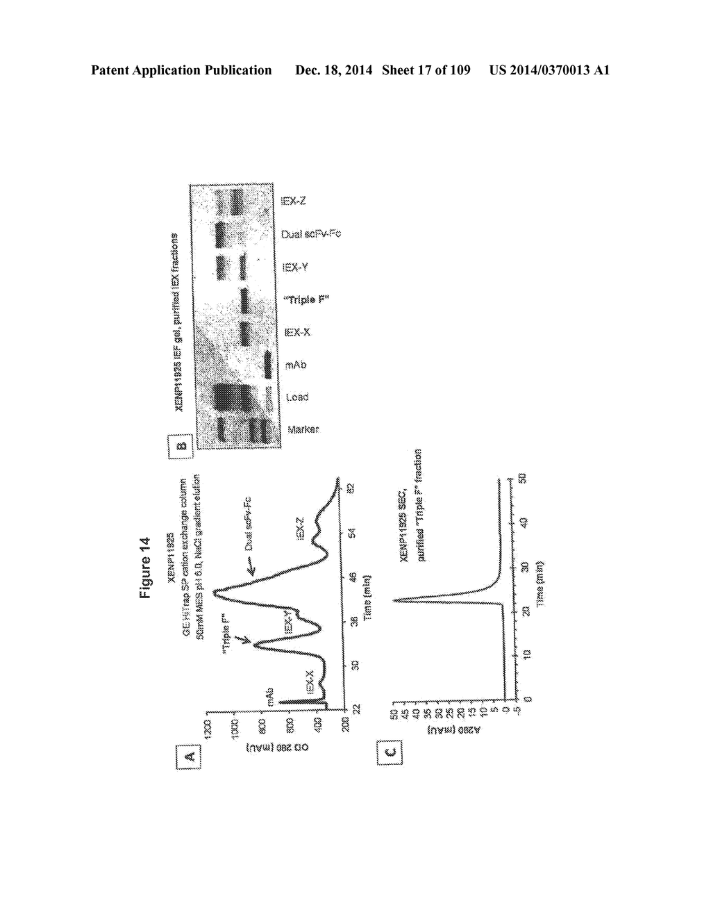 NOVEL HETERODIMERIC PROTEINS - diagram, schematic, and image 18