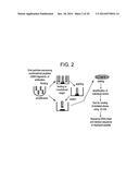 SPARC BINDING SCFVS diagram and image