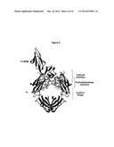 OPTIMIZED Fc VARIANTS AND METHODS FOR THEIR GENERATION diagram and image