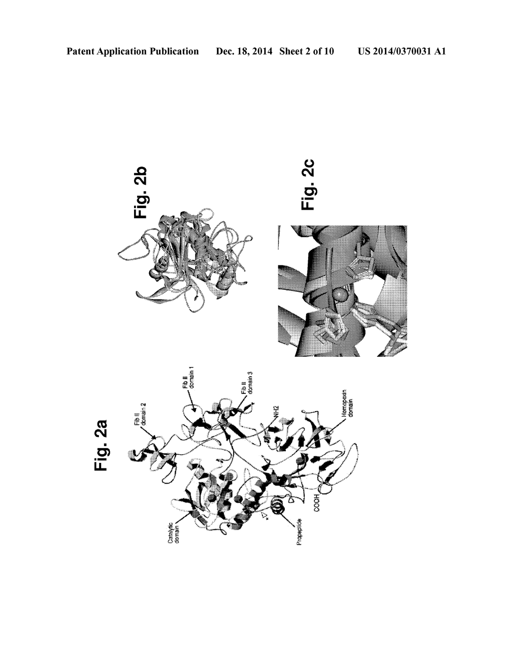 ANTIBODIES AND PHARMACEUTICAL COMPOSITIONS CONTAINING SAME USEFUL FOR     INHIBITING ACTIVITY OF METALLOPROTEINS - diagram, schematic, and image 03