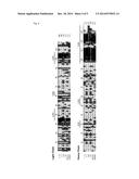 Multi-strain-reactive Antibodies for Therapy and Diagnosis of Influenza diagram and image