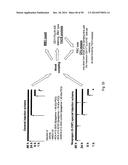 SDF-1 Binding Nucleic Acids and the Use Thereof diagram and image