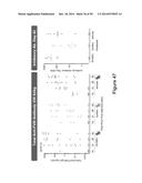 METHODS OF REDUCING IMMUNOGENICITY AGAINST FACTOR VIII IN INDIVIDUALS     UNDERGOING FACTOR VIII THERAPY diagram and image