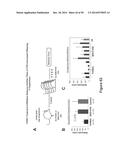 METHODS OF REDUCING IMMUNOGENICITY AGAINST FACTOR VIII IN INDIVIDUALS     UNDERGOING FACTOR VIII THERAPY diagram and image