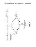 DLL3 MODULATORS AND METHODS OF USE diagram and image