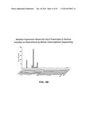 DLL3 MODULATORS AND METHODS OF USE diagram and image