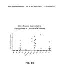 DLL3 MODULATORS AND METHODS OF USE diagram and image