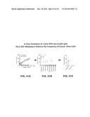 DLL3 MODULATORS AND METHODS OF USE diagram and image