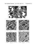 Arsenic Compound Solution and Albumin Nanoparticle and Lyophilized     Preparation Entrapping Arsenic Compound Prepared Using Same diagram and image