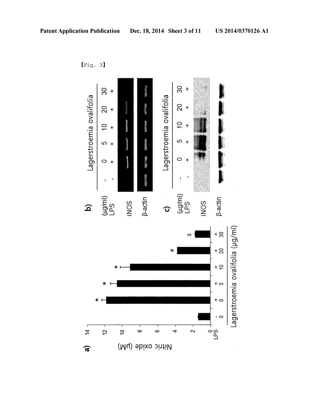 PHARMACEUTICAL COMPOSITION FOR PREVENTING OR TREATING INFLAMMATORY     DISEASES OR ASTHMA, CONTAINING LAGERSTROEMIA OVALIFOLIA EXTRACT OR     FRACTION THEREOF AS ACTIVE INGREDIENT - diagram, schematic, and image 04