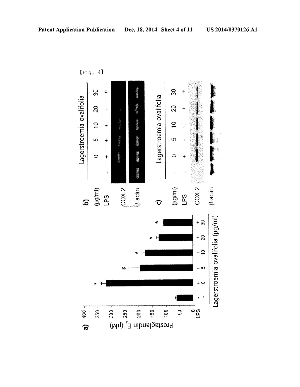 PHARMACEUTICAL COMPOSITION FOR PREVENTING OR TREATING INFLAMMATORY     DISEASES OR ASTHMA, CONTAINING LAGERSTROEMIA OVALIFOLIA EXTRACT OR     FRACTION THEREOF AS ACTIVE INGREDIENT - diagram, schematic, and image 05