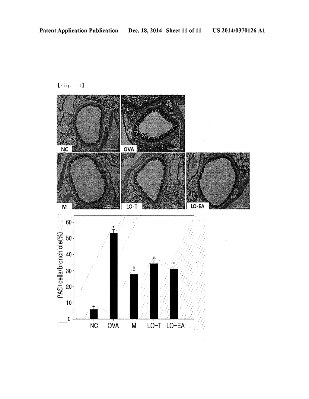 PHARMACEUTICAL COMPOSITION FOR PREVENTING OR TREATING INFLAMMATORY     DISEASES OR ASTHMA, CONTAINING LAGERSTROEMIA OVALIFOLIA EXTRACT OR     FRACTION THEREOF AS ACTIVE INGREDIENT - diagram, schematic, and image 12