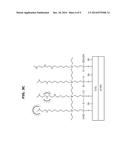 ANTI-BACTERIAL AND ANTI-FINGERPRINT COATING COMPOSITION, FILM COMPRISING     THE SAME, METHOD OF COATING THE SAME AND ARTICLE COATED WITH THE SAME diagram and image