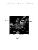 SILICON-SILICON OXIDE-CARBON COMPOSITES FOR LITHIUM BATTERY ELECTRODES AND     METHODS FOR FORMING THE COMPOSITES diagram and image