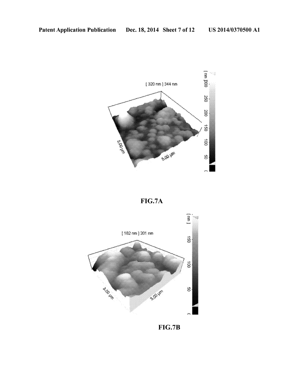 NONVIRAL TARGETED NANOPARTICLE SYSTEM FOR GENE TRANSFER AND DRUG DELIVERY - diagram, schematic, and image 08