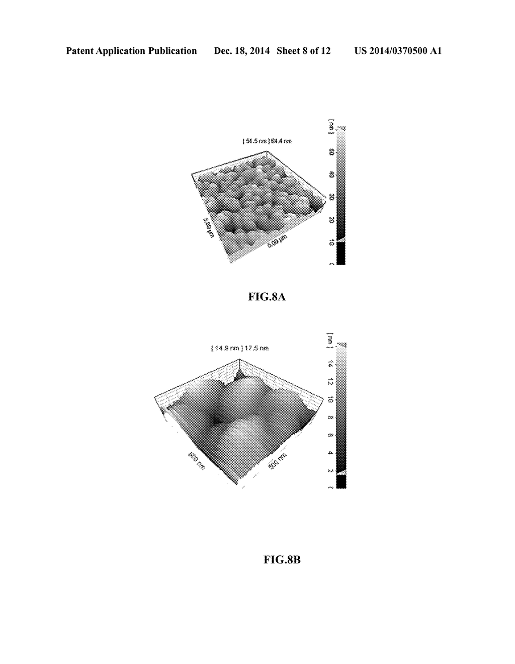 NONVIRAL TARGETED NANOPARTICLE SYSTEM FOR GENE TRANSFER AND DRUG DELIVERY - diagram, schematic, and image 09