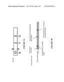 DETECTING INCLUSION BODY MYOSITIS diagram and image