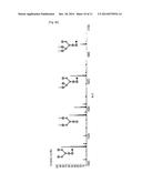 APPARATUS AND METHOD FOR PROCESSING SAMPLE USING MICROWAVE diagram and image